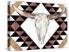 Santa Fe Skulls V-Jennifer Parker-Stretched Canvas
