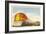 Santa Fe Streamlined Train-null-Framed Art Print