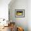 Santa Fe Yellow-Stephen Huneck-Framed Giclee Print displayed on a wall
