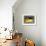 Santa Fe Yellow-Stephen Huneck-Framed Giclee Print displayed on a wall