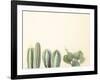 Santa Fe-Assaf Frank-Framed Giclee Print