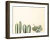 Santa Fe-Assaf Frank-Framed Giclee Print