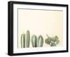 Santa Fe-Assaf Frank-Framed Giclee Print