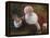 Santa Greeting-David Lindsley-Framed Stretched Canvas