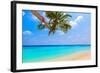 Santa Hat is on A Beach-Molbert-Framed Photographic Print