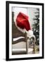 Santa Hat on Chair-Pauline St^ Denis-Framed Premium Photographic Print
