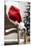 Santa Hat on Chair-Pauline St^ Denis-Mounted Premium Photographic Print