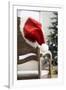 Santa Hat on Chair-Pauline St^ Denis-Framed Photographic Print