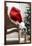 Santa Hat on Chair-Pauline St^ Denis-Framed Photographic Print