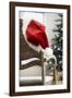 Santa Hat on Chair-Pauline St^ Denis-Framed Photographic Print