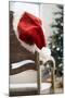 Santa Hat on Chair-Pauline St^ Denis-Mounted Photographic Print