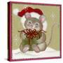 Santa Hat Wearing Mouse Holding Present-Beverly Johnston-Stretched Canvas