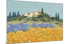 Santa Lucia, Tuscany-Hazel Barker-Mounted Giclee Print