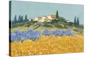 Santa Lucia, Tuscany-Hazel Barker-Stretched Canvas