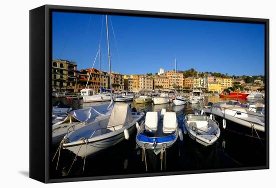 Santa Margherita Ligure Harbour, Genova (Genoa), Liguria, Italy, Europe-Carlo Morucchio-Framed Stretched Canvas