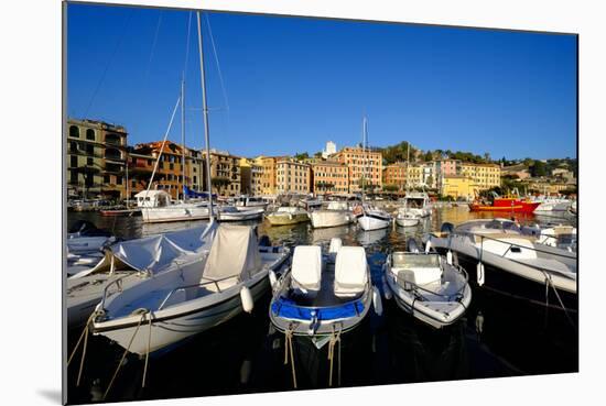 Santa Margherita Ligure Harbour, Genova (Genoa), Liguria, Italy, Europe-Carlo Morucchio-Mounted Photographic Print