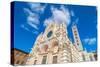 Santa Maria Assunta Cathedral in Siena, Italy-eddygaleotti-Stretched Canvas