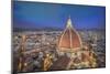 Santa Maria Del Fiore Cathedral-null-Mounted Art Print