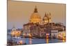 Santa Maria Della Salute Church and Grand Canal at Sunset, Venice, Veneto, Italy-Stefano Politi Markovina-Mounted Photographic Print