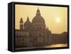Santa Maria Della Salute Church at Sunset, Venice, Veneto, Italy-Lee Frost-Framed Stretched Canvas
