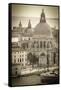 Santa Maria della Salute church, Venice, Veneto, Italy-Russ Bishop-Framed Stretched Canvas