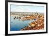 Santa Maria Della Salute from the Campanile Tower in St. Marks Square, Venice, Pub. C.1900-null-Framed Giclee Print