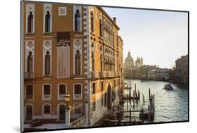 Santa Maria Della Salute, Grand Canal from Accademia Bridge, sunrise after snow, Venice, UNESCO Her-Eleanor Scriven-Mounted Photographic Print