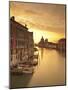 Santa Maria Della Salute, Grand Canal, Venice, Italy-Jon Arnold-Mounted Photographic Print