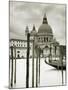 Santa Maria Della Salute, Grand Canal, Venice, Italy-Jon Arnold-Mounted Photographic Print