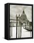 Santa Maria Della Salute, Grand Canal, Venice, Italy-Jon Arnold-Framed Stretched Canvas