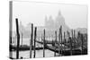 Santa Maria Della Salute, Venezia, Italia-Jeff Pica-Stretched Canvas