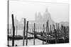 Santa Maria Della Salute, Venezia, Italia-Jeff Pica-Stretched Canvas