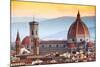 Santa Maria Duomo Florence-null-Mounted Art Print