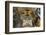 Santa Maria Maggiore Basilica, Bergamo, Lombardy, Italy-Carlo Morucchio-Framed Photographic Print