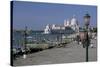 Santa Maria Salute, Venice, Veneto, Italy-James Emmerson-Stretched Canvas