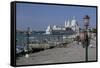 Santa Maria Salute, Venice, Veneto, Italy-James Emmerson-Framed Stretched Canvas