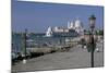 Santa Maria Salute, Venice, Veneto, Italy-James Emmerson-Mounted Photographic Print