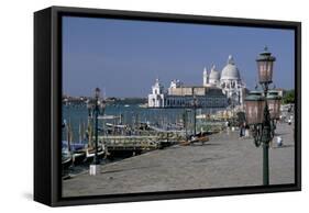 Santa Maria Salute, Venice, Veneto, Italy-James Emmerson-Framed Stretched Canvas
