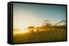 Santa Monica Beach Pier in California Usa at Sunset. Retro Colors-Stoycho Stoychev-Framed Stretched Canvas