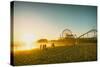 Santa Monica Beach Pier in California Usa at Sunset. Retro Colors-Stoycho Stoychev-Stretched Canvas