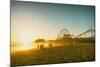 Santa Monica Beach Pier in California Usa at Sunset. Retro Colors-Stoycho Stoychev-Mounted Photographic Print