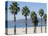 Santa Monica Beach, Santa Monica, California, USA-Ethel Davies-Stretched Canvas