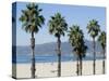 Santa Monica Beach, Santa Monica, California, USA-Ethel Davies-Stretched Canvas