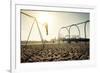 Santa Monica Beach. Silhouette of a Woman Going up with the Swing. Concept about Traveling,United S-Oneinchpunch-Framed Photographic Print