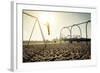 Santa Monica Beach. Silhouette of a Woman Going up with the Swing. Concept about Traveling,United S-Oneinchpunch-Framed Photographic Print