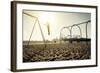 Santa Monica Beach. Silhouette of a Woman Going up with the Swing. Concept about Traveling,United S-Oneinchpunch-Framed Photographic Print