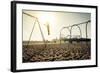 Santa Monica Beach. Silhouette of a Woman Going up with the Swing. Concept about Traveling,United S-Oneinchpunch-Framed Photographic Print