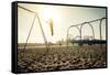 Santa Monica Beach. Silhouette of a Woman Going up with the Swing. Concept about Traveling,United S-Oneinchpunch-Framed Stretched Canvas