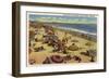 Santa Monica, California - A Daily Scene on the Beach-Lantern Press-Framed Art Print