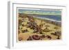 Santa Monica, California - A Daily Scene on the Beach-Lantern Press-Framed Art Print